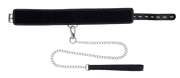 Edge Collar & Leash