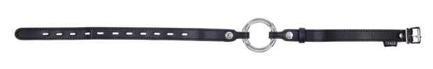 Edge Interchangeable Ring Gag