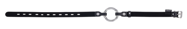 Edge Interchangeable Ring Gag
