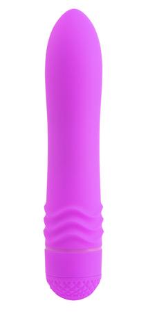 Neon Luv Touch Wave Purple Vibrator